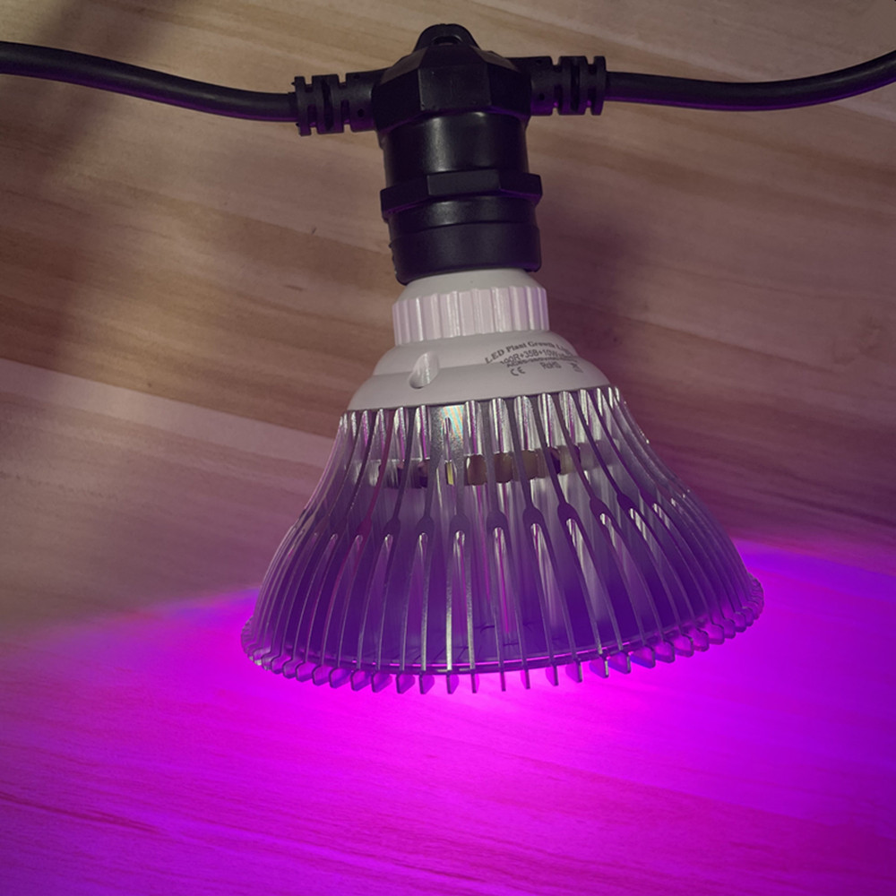 Kabel LED 10M Kelas Komersial  - Outdoor Lighting Sconce ulasan dan harga