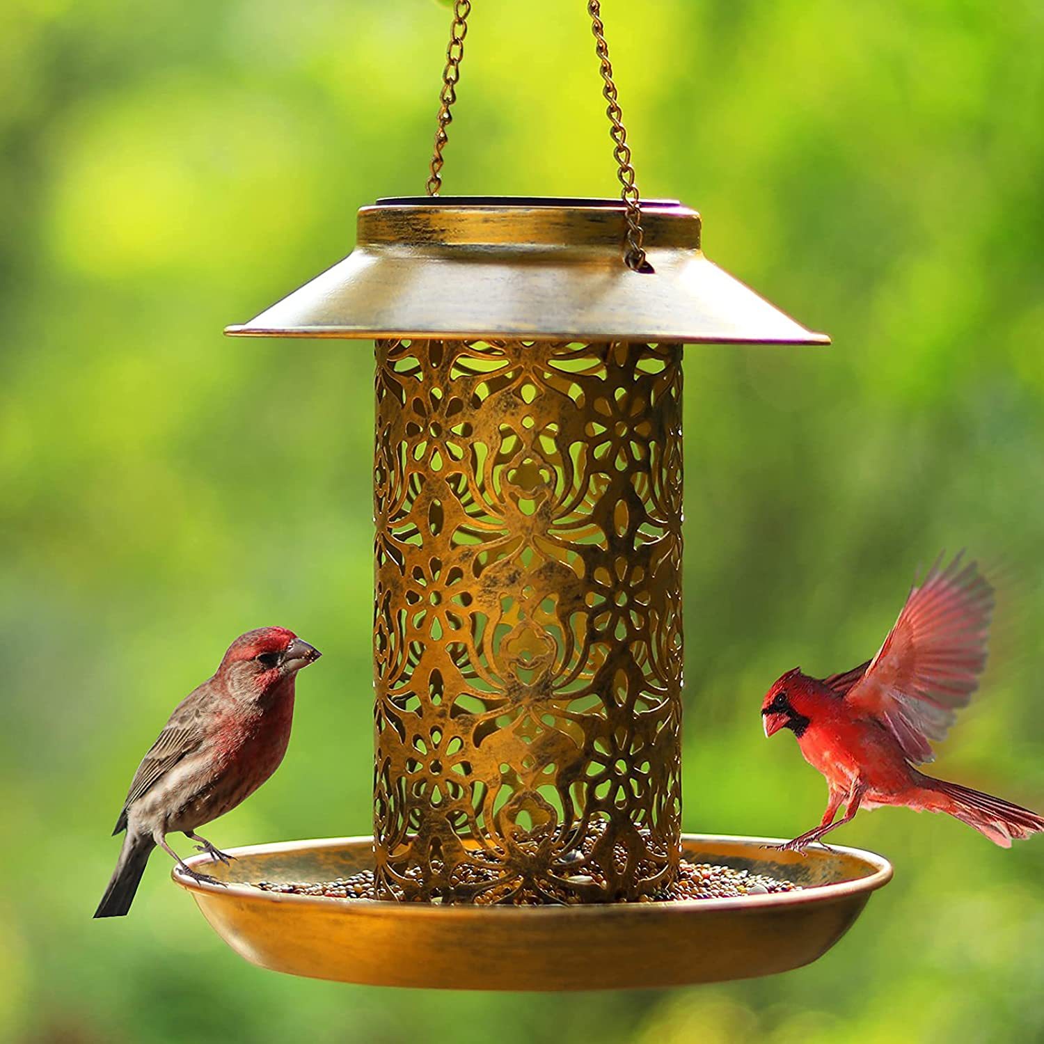 Rumah Burung Gantung Logam Lua - Outdoor Lighting Ideas For Backyard ulasan dan harga